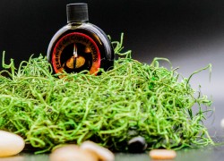 Aceites