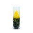 Double Action Reversing Evil Eye Candle