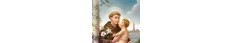 Saint Anthony Prayer