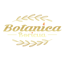 Botanica Boricua Botanica Boricua